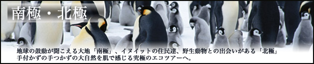 南極・北極