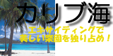 �J���u�C
