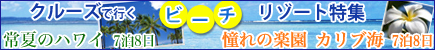 �N���[�Y�ōs���@�r�[�`���]�[�g���W