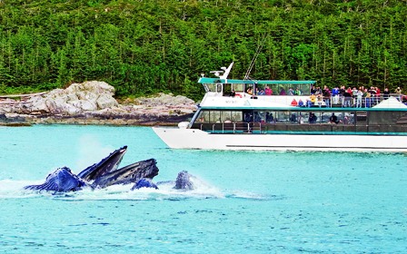 ジュノーのイメージ