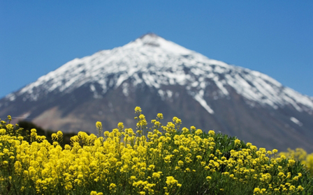 テネリフェのイメージ