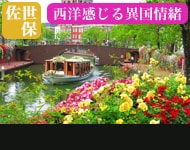【早期予約割引 2019年11月30日まで】 2020年ダイヤモンド・プリンセスで行く 陽春の九州紀行と韓国10日間(M009)-横浜発着- (船会社リピーター割引・ベストワンリピーター特典有り・日本人スタッフ多数乗船)【オンライン予約可】
