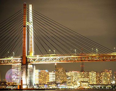 【ダブル就航記念割26年1/30までのお申込み】【プラス特典プラン(+104,500円)】ダイヤモンド・プリンセスで行く 春光の西日本周遊と韓国 12日間 (M707) -横浜発着-