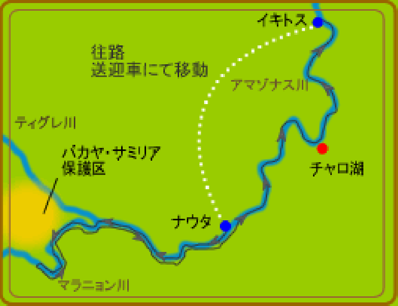 マップ