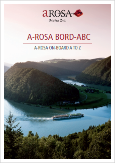 アローサパンフレット