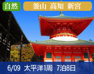 【2/1より大幅値下げ! コンフォート・エレガント価格 (ドリンクパッケージ付) 満室必至! 早い者勝ち!】2019年 コスタネオロマンチカ号で行く 太平洋周遊1Weekクルーズ 釜山・高知・和歌山 7泊8 日 -東京発着-(ご家族で2室利用時にお子様半額プロモも有り)