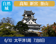 【2/1より大幅値下げ! コンフォート・エレガント価格 (ドリンクパッケージ付) 満室必至! 早い者勝ち!】2019年 コスタネオロマンチカ号で行く 太平洋周遊1Weekクルーズ 釜山・高知・和歌山 7泊8 日 -神戸発着-(ご家族で2室利用時にお子様半額プロモも有り)