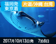 コスタネオロマンチカ