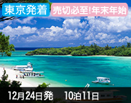 奄美大島