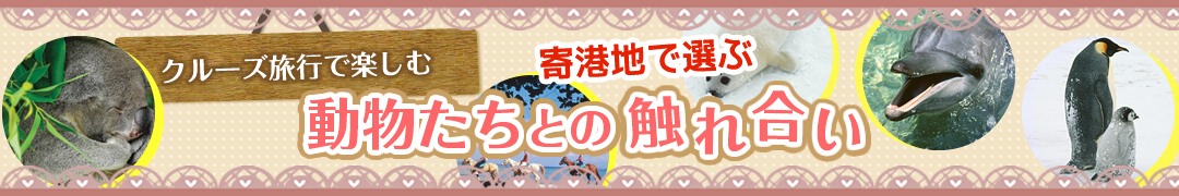 クルーズ旅行で楽しむ動物たちとの触れ合い