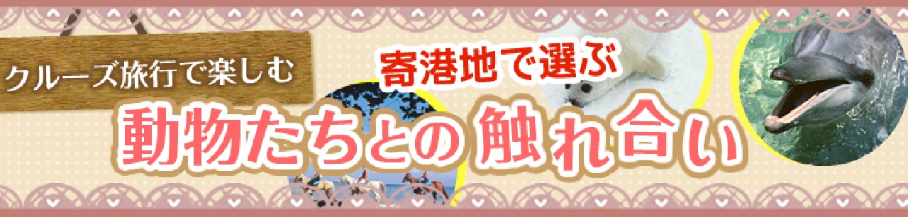 クルーズ旅行で楽しむ動物たちとの触れ合い