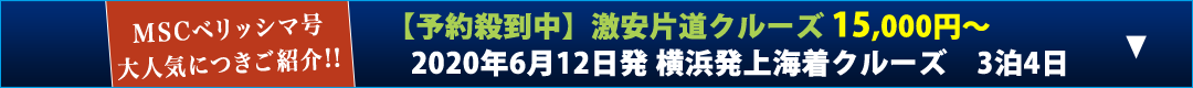ナビゲーション