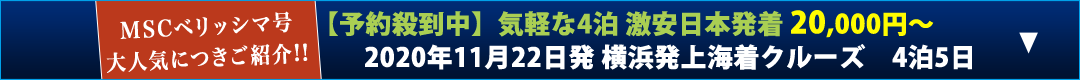 ナビゲーション