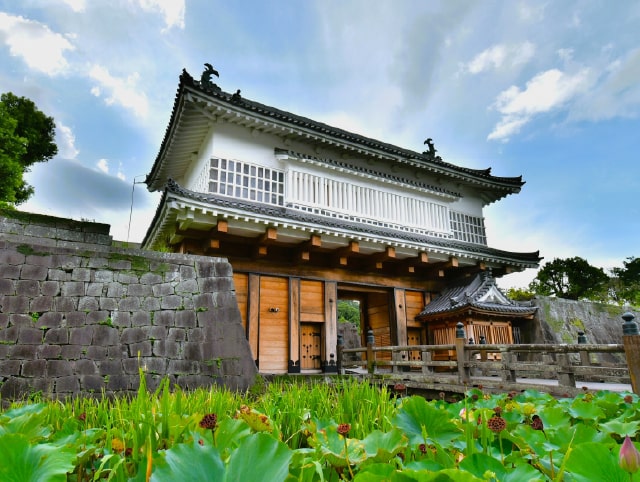 鹿児島の寄港地画像