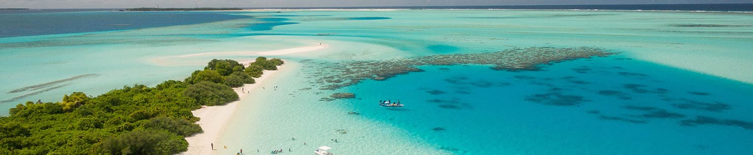 カリブ海
