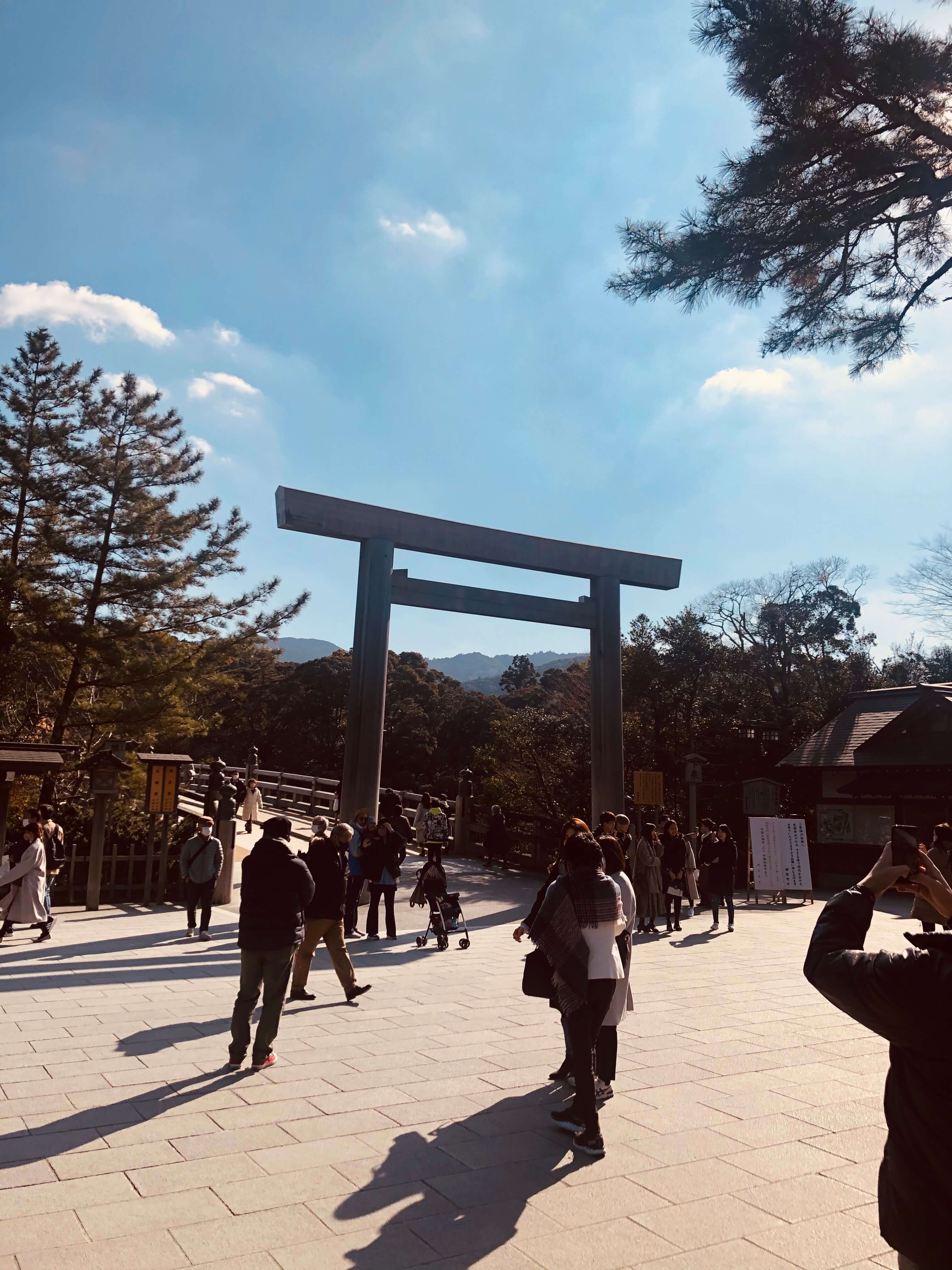 ぱしふぃっくびいなす　乗船記 