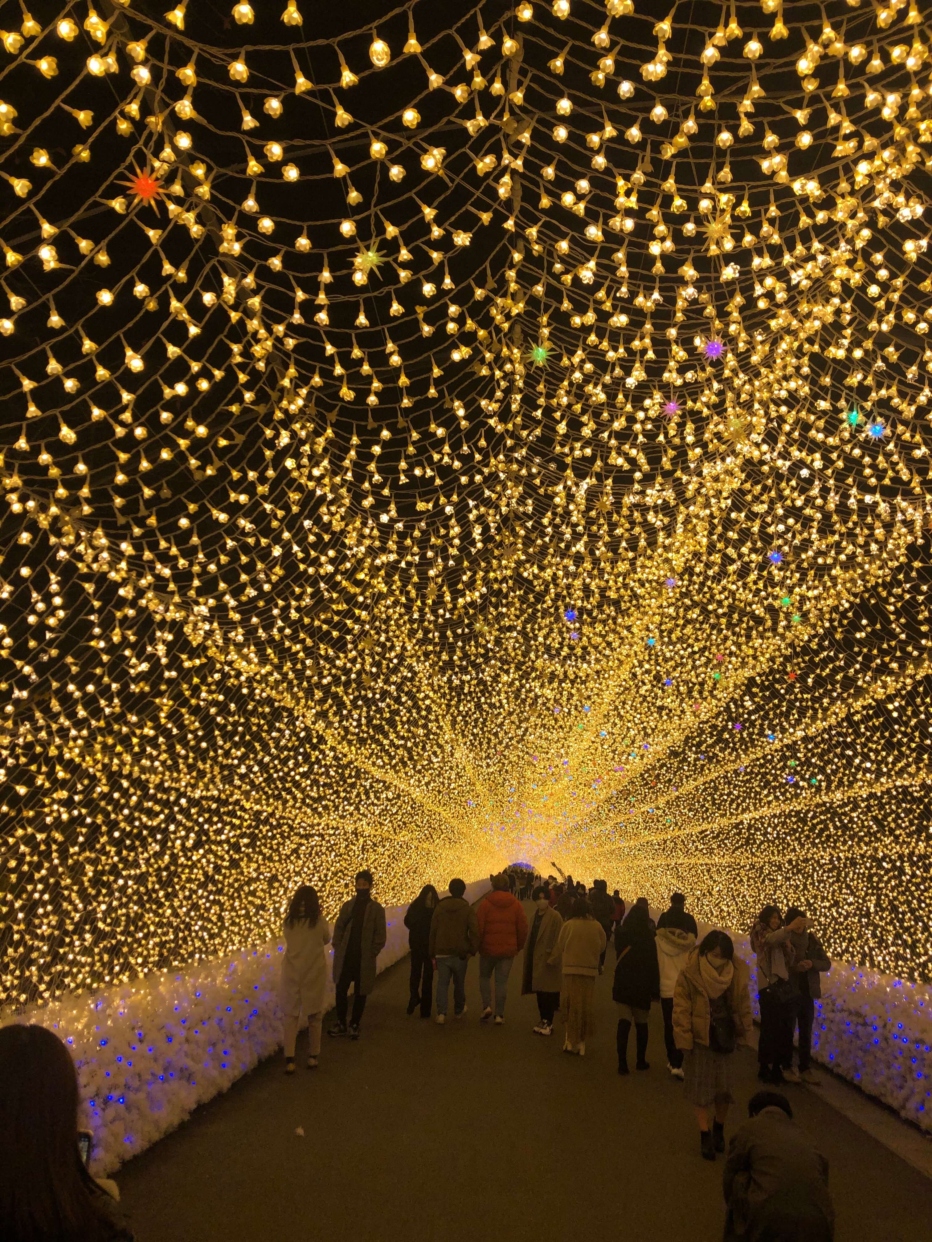 ぱしふぃっくびいなす 乗船記