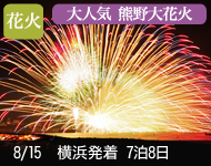 【4/19発表!】2018年 ダイヤモンド・プリンセス号で行く 熊野大花火と夏の日本南国めぐり・韓国 8日間 -横浜発着-