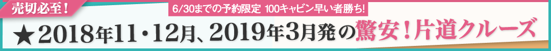2018年11・12月、2019年3月出発 驚安!片道コース