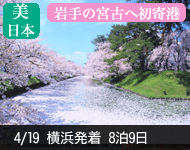 【12/1予約から内側大幅値下げ!満室必至!早い者勝ち】2019年 ダイヤモンド・プリンセスで行く 麗しの春・韓国と東北 9日間 -横浜発着- (ベストワンリピーター割引)