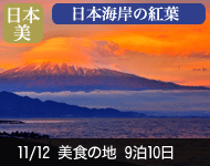 【2019/4/1〜代金大幅値下げ!】2019年 ダイヤモンド・プリンセスで行く 秋空の日本 美食の地めぐりと韓国 10日間 -横浜発着- (ベストワンリピーター割引)