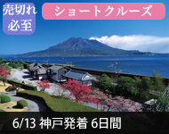 【2019年2/14より販売開始】 2020年ダイヤモンド・プリンセスで行く 幕末・明治維新ゆかりの地と韓国ショートクルーズ 6日間(M021) -神戸発着- (船会社リピーター割引・日本人スタッフ多数乗船)【オンライン予約可】