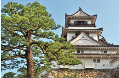 高知城(高知)