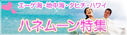 ハネムーン特集