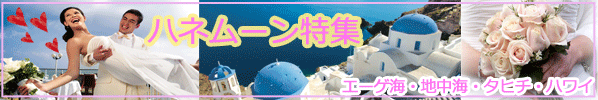 ハネムーン特集