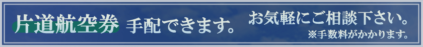 片道航空券手配できます。